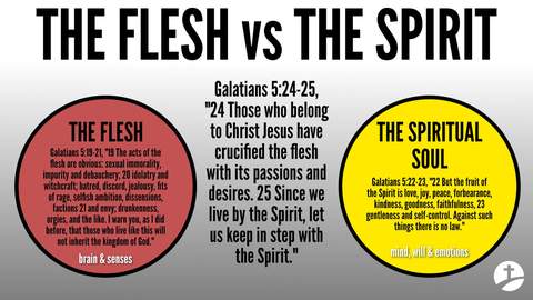 Title: THE FLESH vs THE SPIRIT Within a red circle on the left, labeled THE FLESH, are the words of Galatians 5:19-21: The acts of the flesh are obvious: sexual immorality, impurity and debauchery; idolatry and witchcraft; hatred, discord, jealousy, fits of rage, selfish ambition, dissensions, factions and envy; drunkenness, orgies, and the like. I warn you, as I did before, that those who live like this will not inherit the kingdom of God. In the center of the graphic are the words of Galatians 5:24-25: Those who belong to Christ Jesus have crucified the flesh with its passions and desires. Since we live by the Spirit, let us keep in step with the Spirit. On the right is a yellow circle, labeled THE SPIRITUAL SOUL, with the words of Galatians 5:22-23: But the fruit of the Spirit is love, joy, peace, forbearance, kindness, goodness, faithfulness, gentleness and self-control. Against such things there is no law.