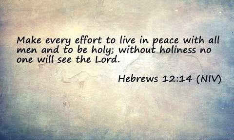 Make every effort to live in peace with all men and to be holy; without holiness no one will see the Lord. Hebrews 12:14 NIV