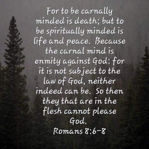 For to be carnally minded is death; but to be spiritually minded is life and peace. Because the carnal mind is enmity against God: for it is not subject to the law of God, neither indeed can be. So then they are are in the flesh cannot please God. Romans 8:6-8
