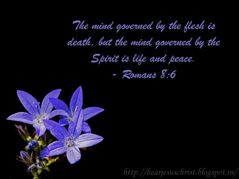 The mind governed by the felshis death, but the mind governed by the Spirit is life and peace. Romans 8:6
