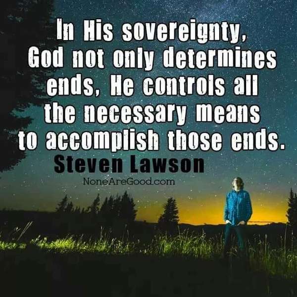 In His sovereignty, God not only determines ends. He controls all the necessary means to accomplish those ends. ~ Steven Lawson
