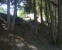 It's a 22' drop from our motorhome to the lower lawn that borders the river