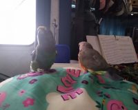 Just hangin' out...