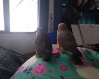 Seeing what's new outside.