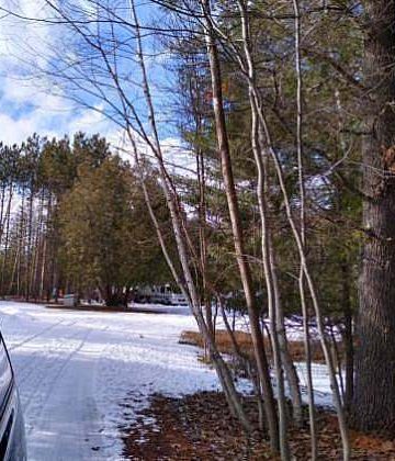 I stopped at the end of the driveway and took a picture of our motorhome (in which we live) sadly watching us leave!