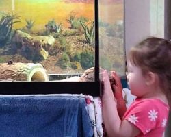 Luna has a moment with Draco the bearded dragon.