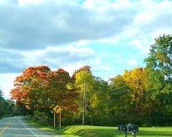 A few photos of some pockets of color I took while we were out and about.