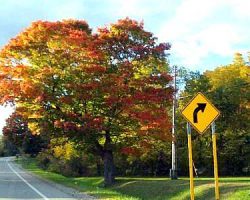 A few photos of some pockets of color I took while we were out and about.