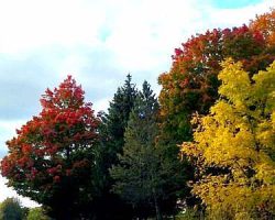 A few photos of some pockets of color I took while we were out and about.