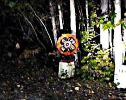 I just LOVE this yard decoration I bought in Indiana...it is especially pretty at night, with my headlights shining on it!