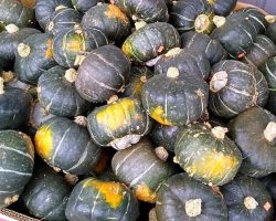 I always forget what they're called (begins with K?) but these are the only squashes I've tried that I haven't liked. And I LOVE squash of all kinds...except this kind!