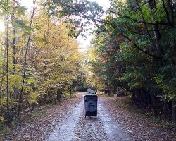 When we got closer to home I let the 2 oldest kids out of the car to take the empty trash cans up the lane to our neighbor (they take our full can out to the road for us) and to our yard; you can't see the 8-year-old because the can is taller than she is!
