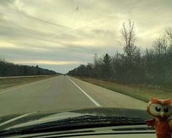 US10 outside of Midland. This is what our trees look like now.