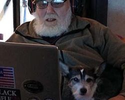 Pete, using his computer to talk on his nets (ham radio people), with his trusty sidekick, Chuy.