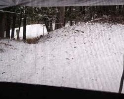 Nov. 15 - SNOW!
