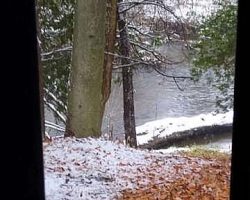 Nov. 15th, looking out the window at the SNOW!