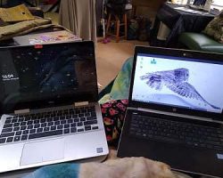 Later in the day I started working on my projects. While one laptop is syncing with Nexcloud I'm using the other one to do other things.