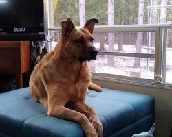 Maisie: "How do I look, Mom? Do I look all important and regal and stuff?"