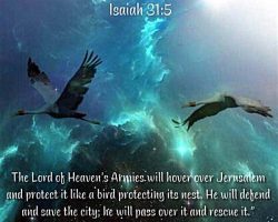 The Lord of Heaven's Armies will hover over Jerusalem and protect it like a bird protecting its nest. He will defend and save the city; He will pass over it and rescue it." (Isaiah 31:5)