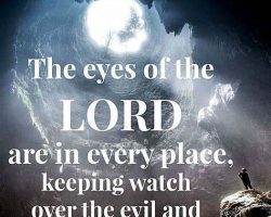 The eyes of the LORD are in every place, keeping watch over the evil and the good. (Proverbs 15:3) Steppes of Faith