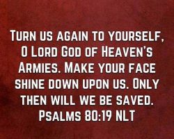 Turn us again to yourself, O Lord God of Heaven's Armies. Make your face shine down upon us. Only then will we be saved. (Psalm 80:19 NLT)