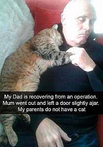 A man is sleeping on a davenport; a grey striped cat is sleeping on his left arm and shoulder; with his right hand he is holding the cat's front paws. The words say, "My Dad is recovering from an operation. Mum went out and left a door slightly ajar. My parents do not have a cat."