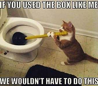 An orange and white cat holding a toilet plunger handle, as if plunging a toilet. Caption: If you used the box like me we wouldn't have to do this.