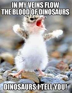 A fuzzy baby bird, beak open, wings flung out to the side. Caption: In my veins flow the blood for dinosaurs. Dinosaurs, I tell you!