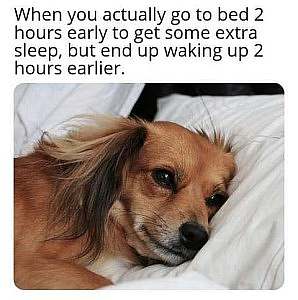 A brown and black dog laying on a bed, his head on a pillow, eyes open. Caption: When you actually go to bed 2 hours early to get some extra sleep, but end up waking up 2 hours earlier.