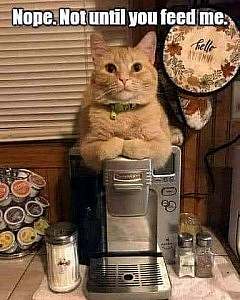 Orange cat sitting atop a coffee maker. Caption: Nope. Not until you feed me.