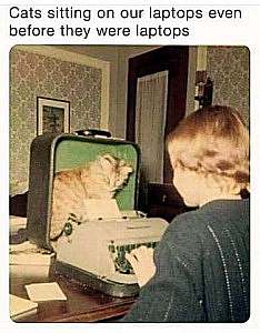 A young girl sitting at a table, typing on a typewriter while a cat sits in the back of the case the typewriter is sitting in. Caption: Cats sitting on our laptops even before they were laptops.