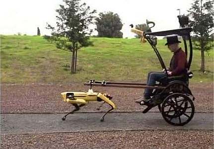 A miniature cart that looks like an Amish buggy with a man in it, being pulled by a robot.