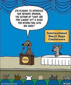 A dog standing on a platform, with another dog sitting at a table nearby, trembling with big wide eyes. Sign on the wall says, "International Small Dogs Conference" - Speech bubble over the first dog: "I'm pleased to introduce our keynote speaker, the author of What Are YOU Lookin' At? A Guide for Interacting With Big Dogs."