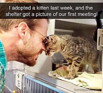 A closeup photo of a man leaning forward toward an open cage door; a gray striped kitten is leaning out toward the man; their eyes are both closed and their faces are pressed together. The caption says, "I adopted a ktten last week, and the shelter got a picture of our first meeting!"