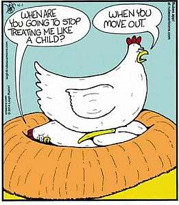 Cartoon: Hen sitting on a nest on another chicken. Chicken underneath says, "When're you going to stop treating me like a child?" Hen replies, "When you move out!"