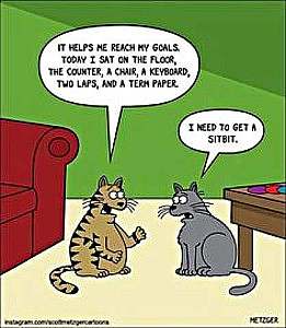 2 cartoon cats are talking. One speech bubble says, "It helps me reach my goals. Today I sat on the floor, the counter, a chair, a keyboard, two laps, and a term paper." The speech bubble over the other cat says, "I need to get a sitbit." (NOTE that there is no "sitbit" in the cartoon, just the end of a davenport and the corner of a table.)