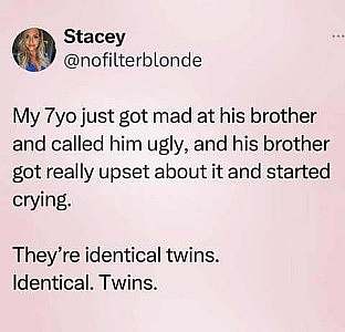Screenshot of a social media post by Stacey @nofilterblonde - My 70YO just got made at his brother and called him ugly, and his brother got really upset about it and started crying. They're identical twins. Identical. Twins.