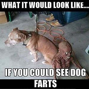 A brown dog sitting on a garage floor. A scary-faced skeletal figure sits next to the dogs rear; the figure has no body from the waist down. Caption: What it would look like if you could see dog farts.
