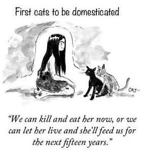 A drawing of a cave girl sitting on the ground with 2 cats sitting in front of her, facing her. Caption: "We can kill and eat her now, or we can let her live and she'll feed us for the next fifteen years."