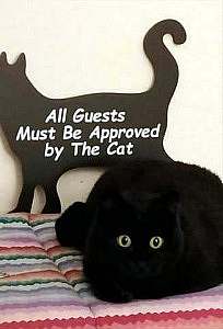 A black cat is laying on a multicolored striped pillow; he is so black you can really only see his green eyes, otherwise he looks like a black blob. Behind him, against a white wall, is a cat-shaped black silhouette with the words, "All Guests Must Be Approved by The Cat" on it in white.