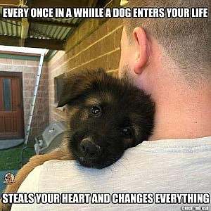 Closeup photo of a man with his back to the camera, and a fuzzy sweet puppy face looking back over his shoulder. Caption: Every once in a while a dog enters your life, steals your heart, and changes everything."