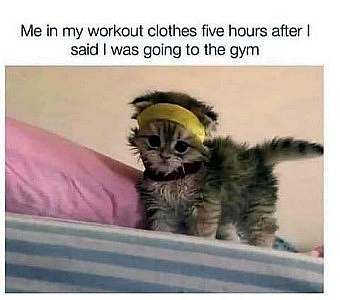 Kitten with a head band on. Caption: Me in my workout clothes five hours after I said I was going to the gym.