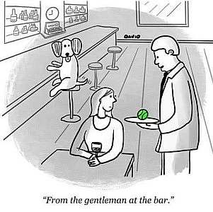 A dog sitting at a bar, tail wagging, watching the bartender who is talking to a woman seated at a table drinking wine. The bartender is holding a tray with a tennis ball on it. Caption: "From the gentleman at the bar."