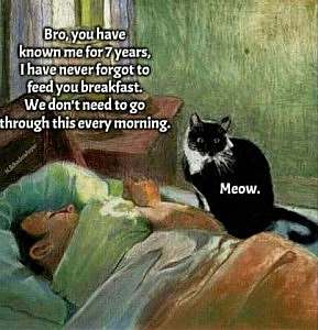 A painting. A man laying in bed, with his black and white cat sitting next to him, saying, "Meow" Caption: Bro, you have known me for 7 years, I have never forgot to feed you breakfast. We don't need to go through this every morning.