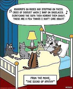A cartoon with a cat sitting up at the top of a bed, surrounded by kittens of various colors and sizes. The speech bubble over her as a few little eighth notes, with the words, "Raindrops on roses and stepping on faces, cries of disgust when I barf on shoelaces. Scratching the sofa then hearing them shout, these are a few things I don't care about!" At the bottom is a text box: From the movie, "The Sound of Apathy"