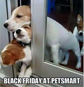 a group of puppies trying to get through a slightly open door all at the same time. Caption: "Black Friday at Petsmart."