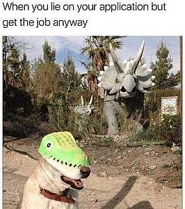 Behind a fence at an outdoor exhibit are 2 huge lifelike dinosaurs. Outside the fence is a dog sitting with a crocodile mask over his head. Caption: When you like on your application but get the job anyway."