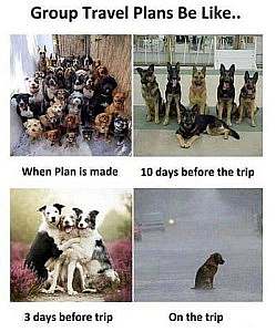 4 frames. The first shows a large group of dogs posing for the camera. The second shows 6 dogs posing for the camera. The third shows 3 dogs posing for the camera. The fourth shows one dog sitting in the rain, looking dejected. At the top: Group Travel Plans Be Like... Caption 1: When Plan is Made. Caption 2: 10 day before the trip. Caption 3: 3 days before trip. Caption 4: On the trip.