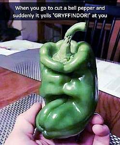 A green pepper with a large chin and a squinty grumpy look. Caption: "When you go to cut a bell pepper and suddenly it yells "GRYFFINDOR!" at you."