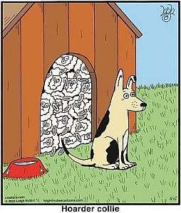 A cartoon with a german shepherd sitting outside a doghouse that is packed with sheep stacked on top of each other. Caption: Hoarder collie.